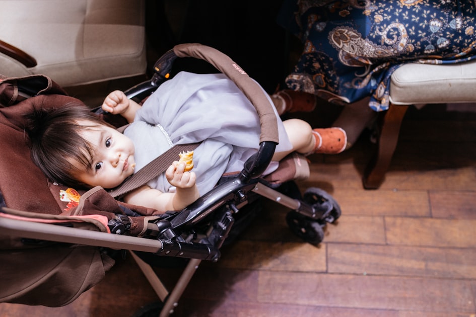 Unboxing Videos: Stroller First Impressions