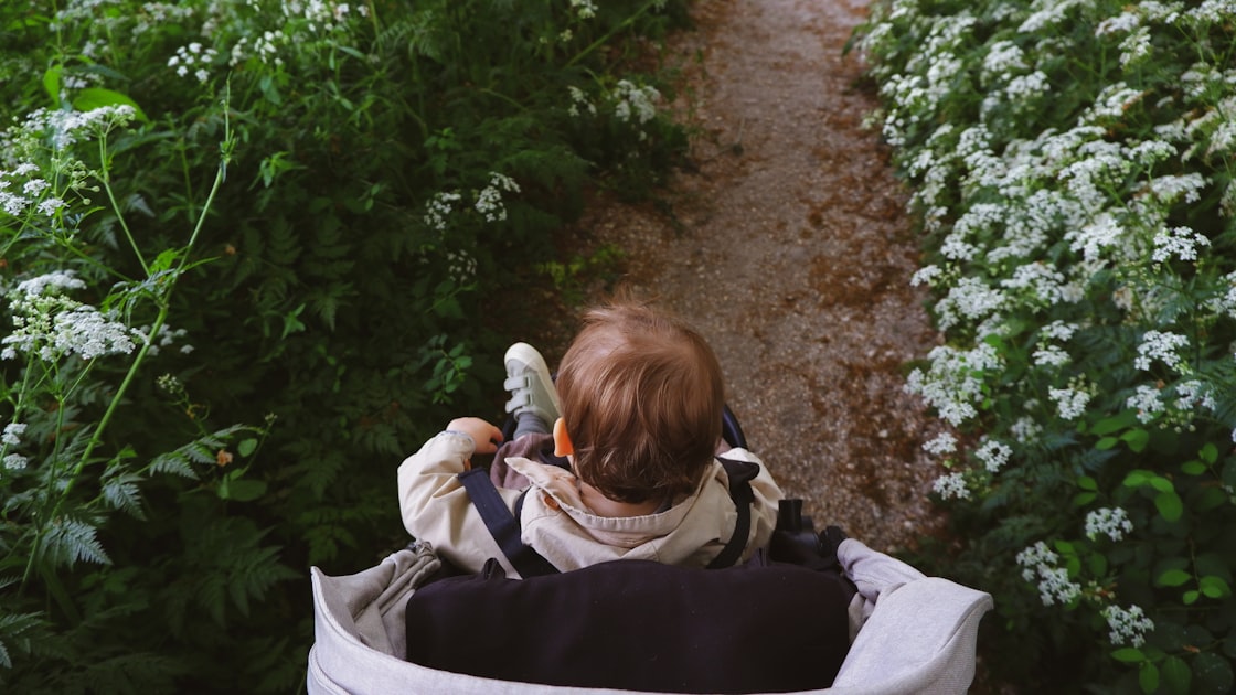 Parenting Tips for Choosing Strollers