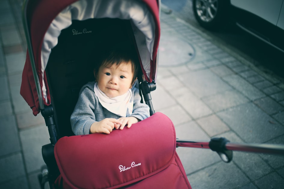 Top Stroller Brands Reviewed
